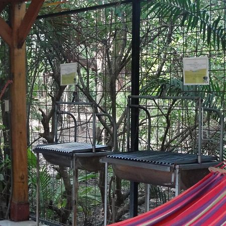 Casa Del Sol -Villas Catalinas Potrero  Kültér fotó